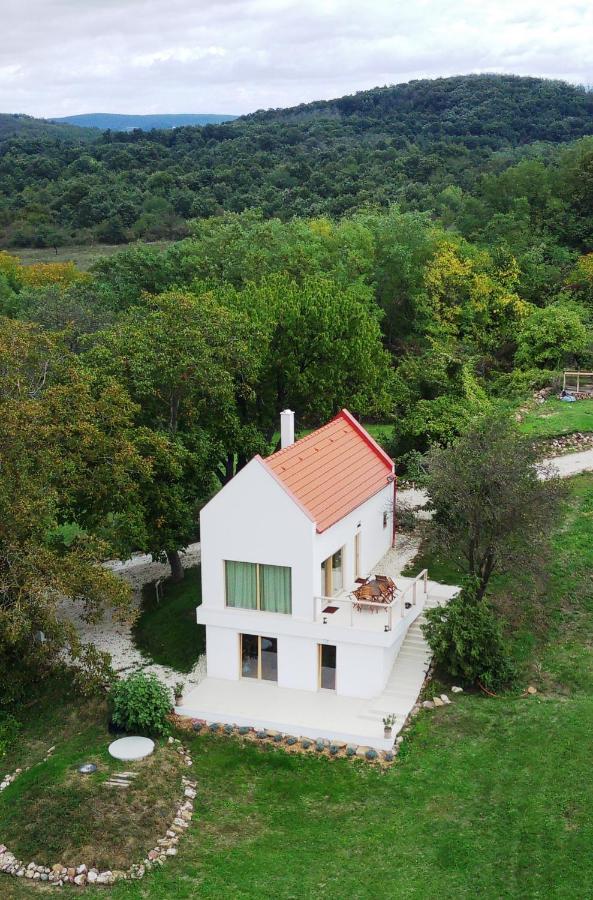 Baloveon Birtok Kaptalantoti Kültér fotó